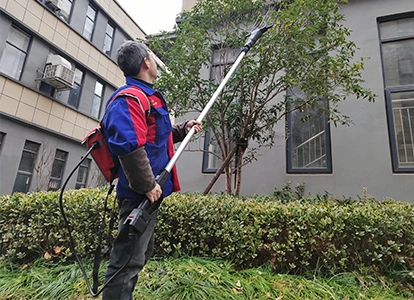 Olive Harvester